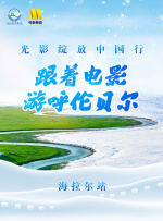 清晰在线播放观看