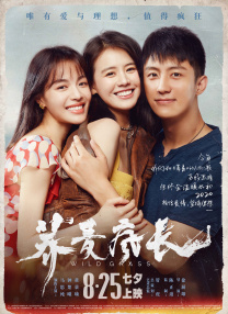 高清影视
